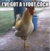 footcock.jpg