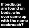 Bedbugs and Cockroaches.jpg
