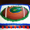 Florida Gators birthday cake.jpg