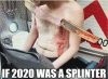 2020 Splinter.jpg