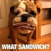 What sandwich.jpg