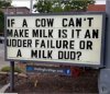 Cow can't make milk.JPG