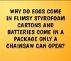 Eggs and batteries.JPG