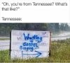 From Tennessee.jpg