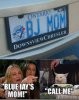 Blue Jay's Mom.JPG