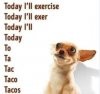 Exercise Tacos.JPG