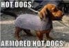 Armored hot dogs.JPG