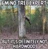Tree expert.JPG