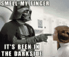 smell-my-finger-111-ml-its-been-in-the-darkside-46809081.png