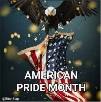 American Pride Month.JPG
