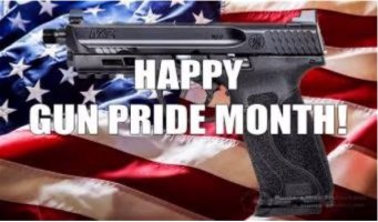 Gun Pride month.JPG