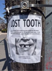 Lost tooth.JPG