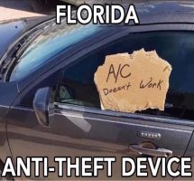 Florida anti-theft device.JPG
