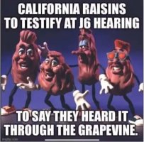 Raisins Grapevine.JPG