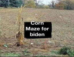 Biden corn maze.JPG