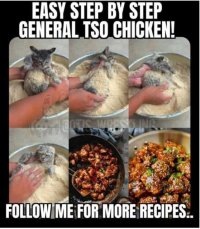 General Tso chicken.JPG
