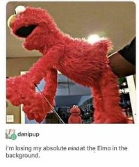Elmo's expression.JPG