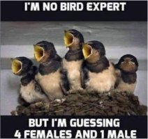 Bird Expert.JPG
