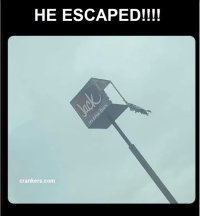 He escaped.JPG