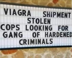 Hardened criminals.JPG
