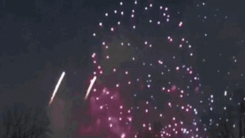 dick fireworks.gif