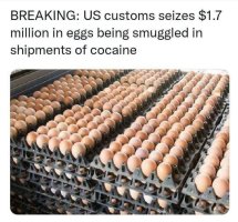 Egg smuggling.JPG