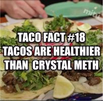 Taco fact no 18.JPG