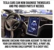 Tesla child support.JPG