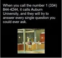 Auburn Hotline.JPG