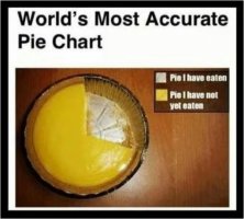 Accurate pie chart.JPG