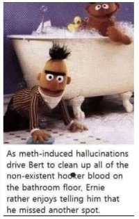 Bert's Hallucinations.JPG
