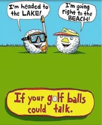 Golf balls talking.JPG