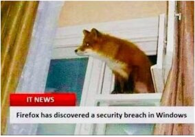 Firefox breaches Windows.JPG