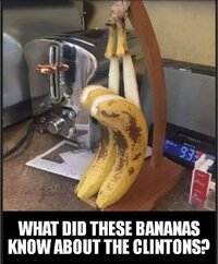 Banana info.JPG