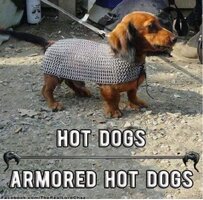 Armored hot dogs.JPG