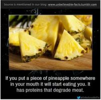 Pineapple proteins.JPG