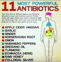 Antibiotics naturally.JPG