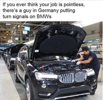 BMW Signal installer.JPG