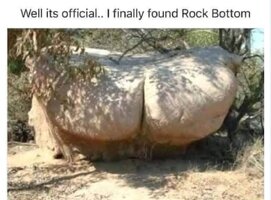 Rock bottom.JPG
