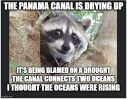 Canal drying up.JPG