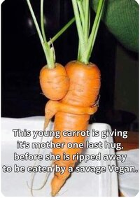 Baby carrot.JPG