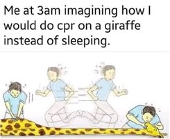 Giraffe CPR.JPG