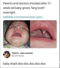 Baby shark.JPG