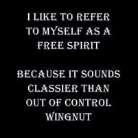 Free Spirit vs Wingnut.JPG